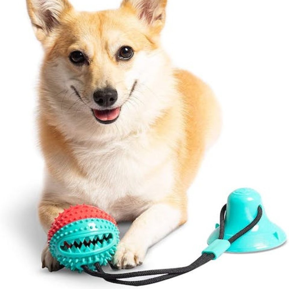 Hello Puppy Dog Chew - Puppy Dog Training Treats Teething Rope